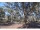 21 Darwinia Crescent, Toodyay WA 6566