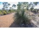 15 Sesselis Road, Toodyay WA 6566
