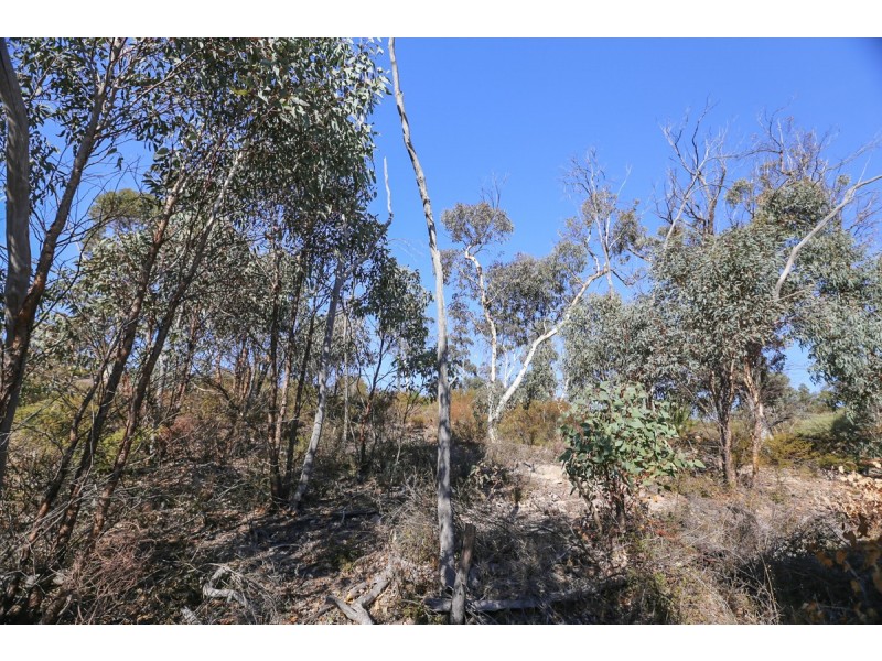 15 Sesselis Road, Toodyay WA 6566