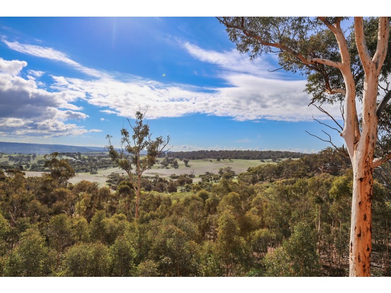 29 Hemiandra Place, Toodyay WA 6566