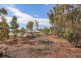 29 Hemiandra Place, Toodyay WA 6566