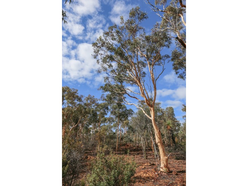 29 Hemiandra Place, Toodyay WA 6566