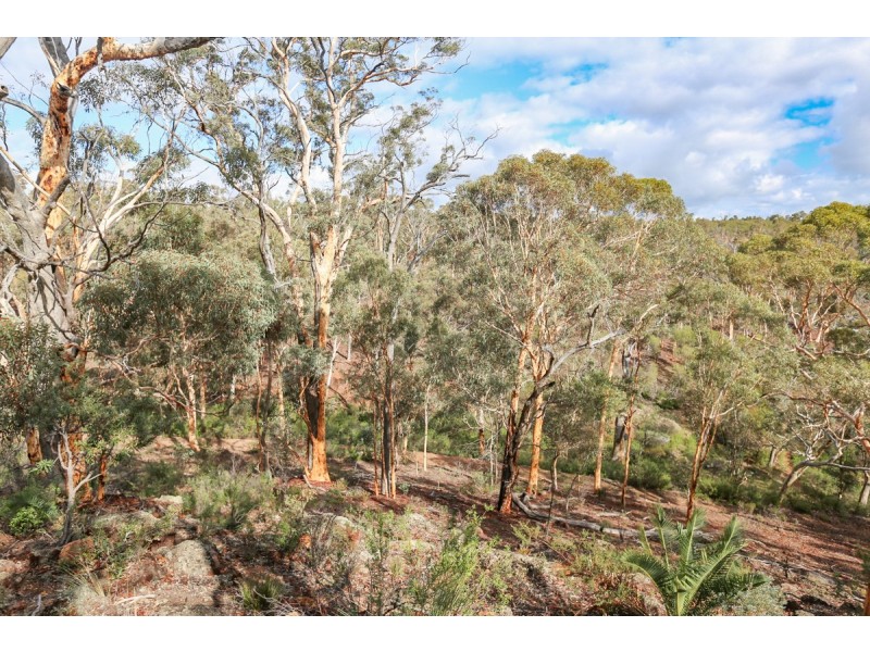 29 Hemiandra Place, Toodyay WA 6566