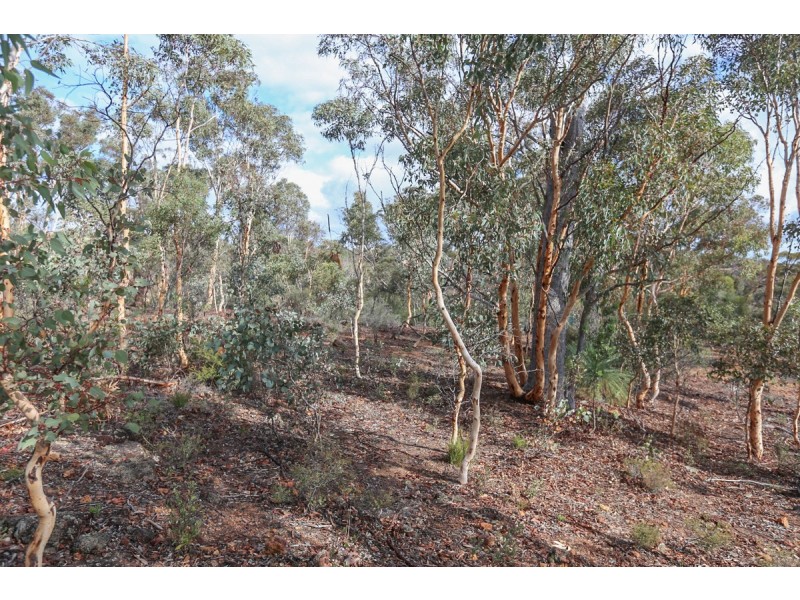 29 Hemiandra Place, Toodyay WA 6566