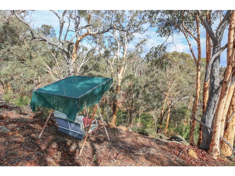 29 Hemiandra Place, Toodyay WA 6566