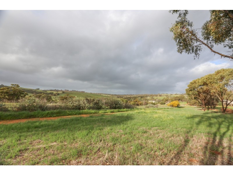 138 Church Gully Road, Toodyay WA 6566