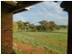 76 Goomalling Road, Toodyay WA 6566
