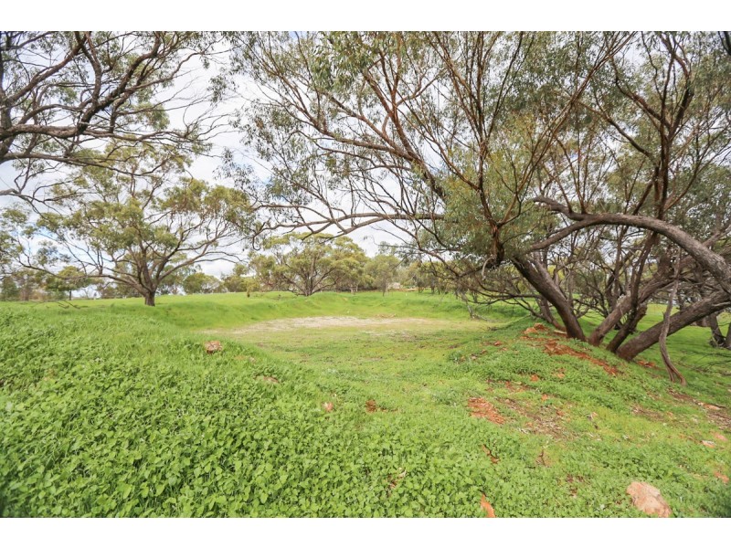 31 Katta Rise, Toodyay WA 6566
