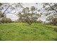 31 Katta Rise, Toodyay WA 6566