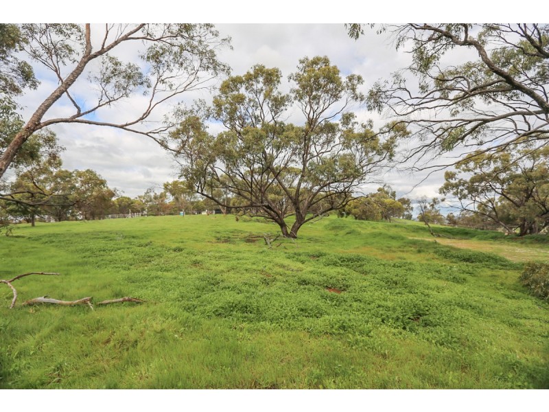 31 Katta Rise, Toodyay WA 6566