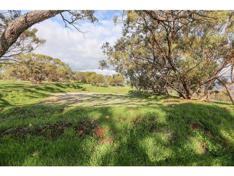 31 Katta Rise, Toodyay WA 6566
