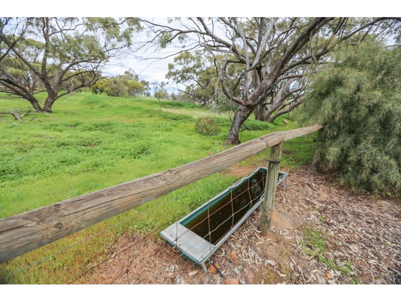 31 Katta Rise, Toodyay WA 6566
