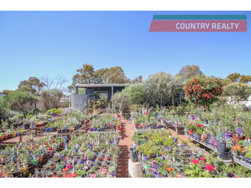 21 Railway Terrace, Goomalling WA 6460