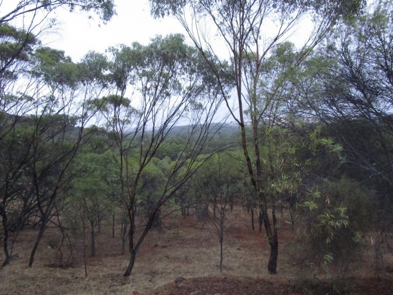 44 Francis Street, Toodyay WA 6566