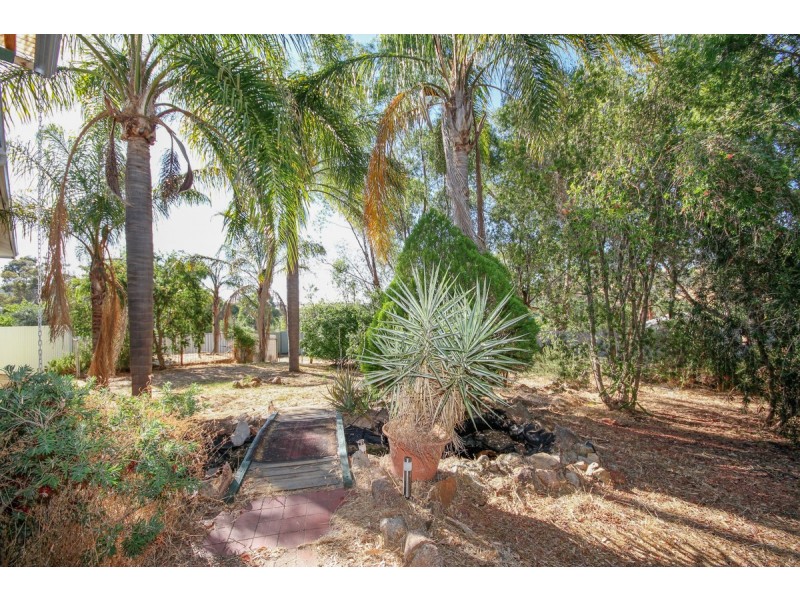 4 Fiennes Street, Toodyay WA 6566