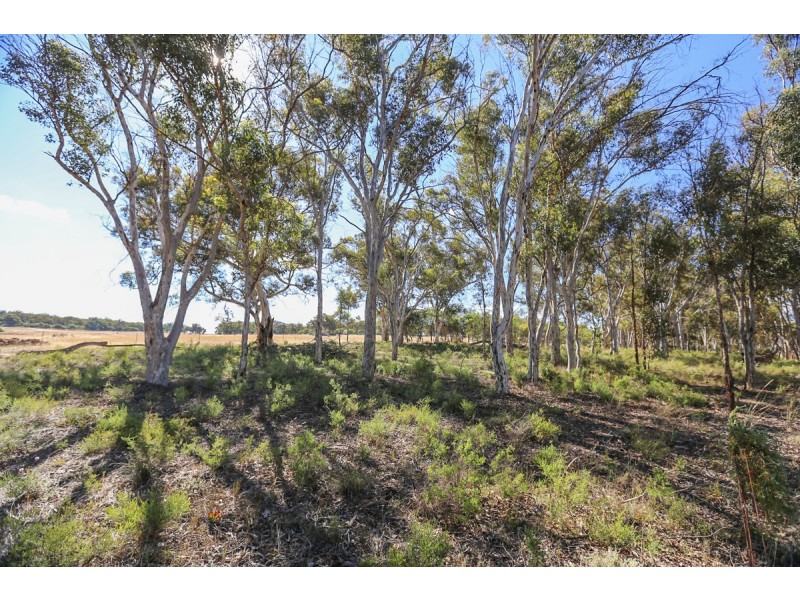 1339 Old Plains Road, Wattening, Toodyay WA 6566