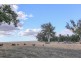 1339 Old Plains Road, Wattening, Toodyay WA 6566