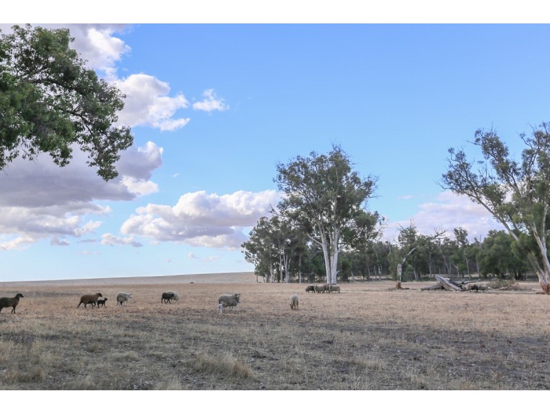 1339 Old Plains Road, Wattening, Toodyay WA 6566