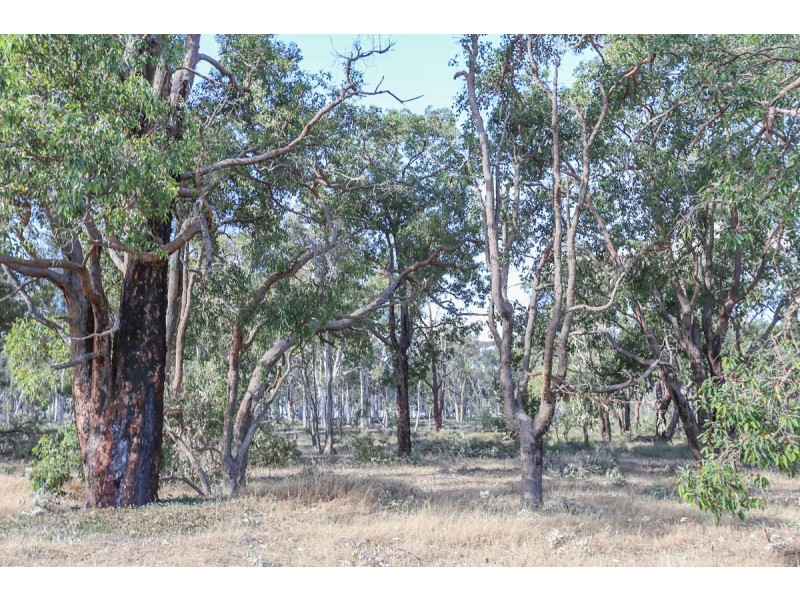 1339 Old Plains Road, Wattening, Toodyay WA 6566