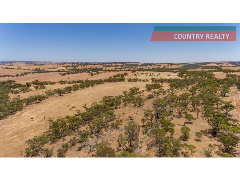 302 Toodyay-Goomalling Road, Toodyay WA 6566