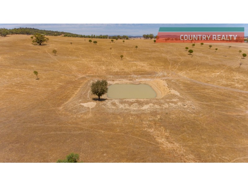 302 Toodyay-Goomalling Road, Toodyay WA 6566