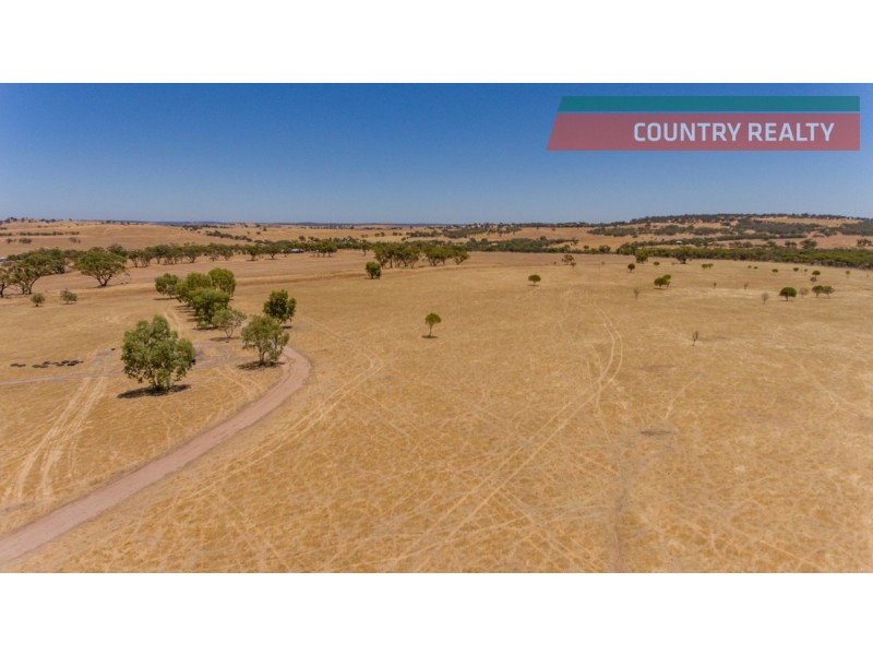 302 Toodyay-Goomalling Road, Toodyay WA 6566
