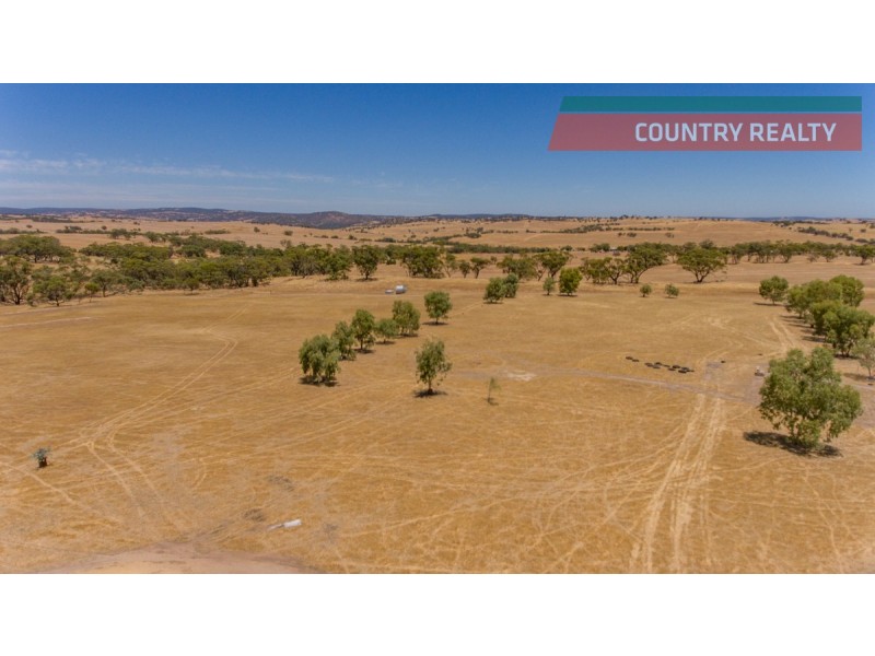 302 Toodyay-Goomalling Road, Toodyay WA 6566