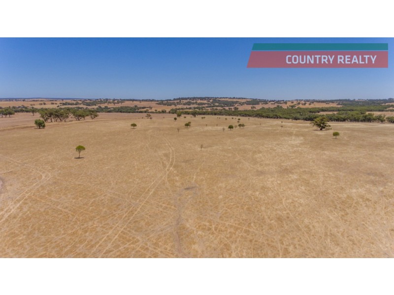 302 Toodyay-Goomalling Road, Toodyay WA 6566