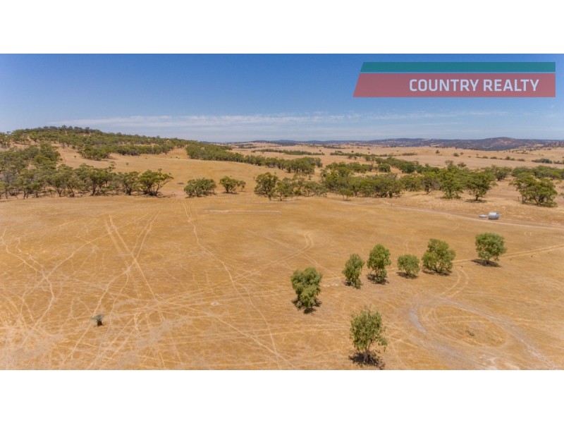 302 Toodyay-Goomalling Road, Toodyay WA 6566