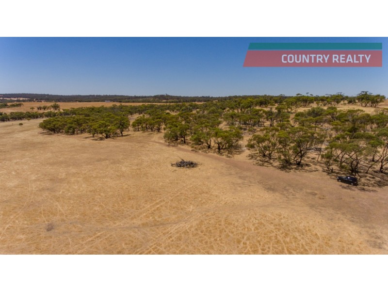 302 Toodyay-Goomalling Road, Toodyay WA 6566