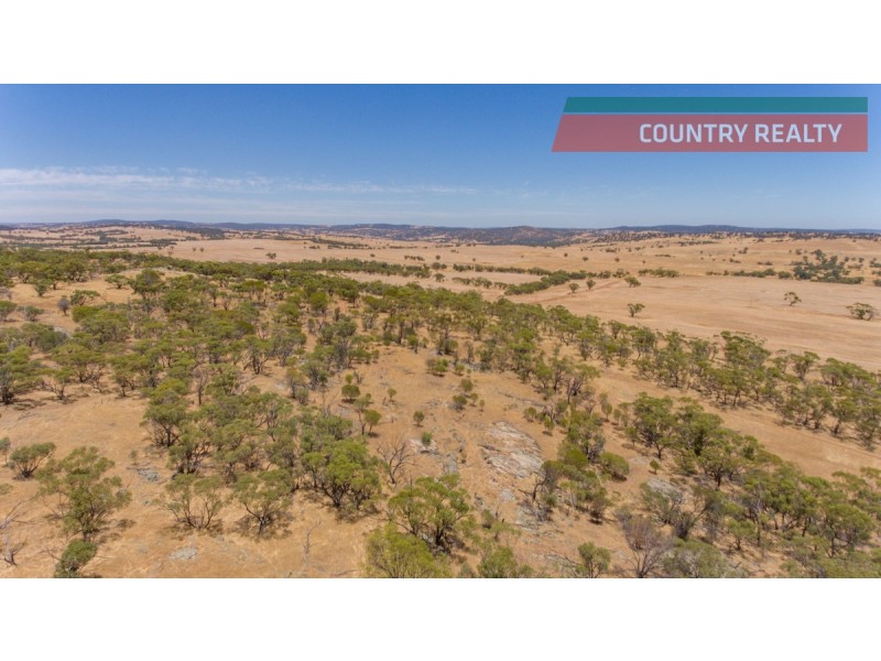 302 Toodyay-Goomalling Road, Toodyay WA 6566