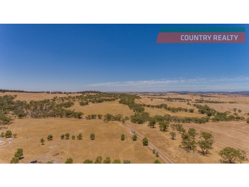 302 Toodyay-Goomalling Road, Toodyay WA 6566