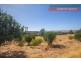 527 Julimar Road, Toodyay WA 6566