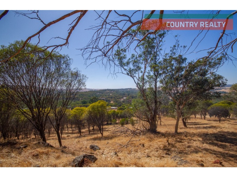 527 Julimar Road, Toodyay WA 6566