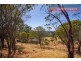527 Julimar Road, Toodyay WA 6566