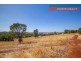 527 Julimar Road, Toodyay WA 6566
