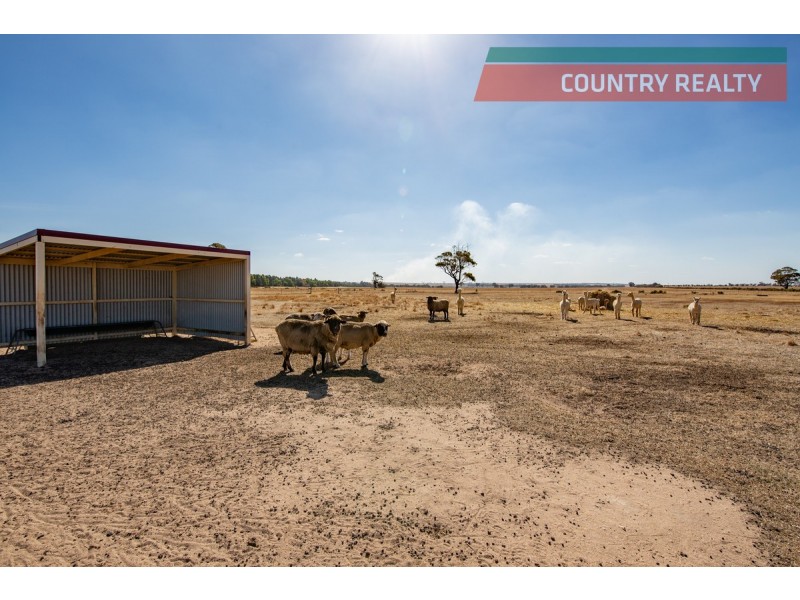 148 Rifle Range Road, Ucarty, Dowerin WA 6461