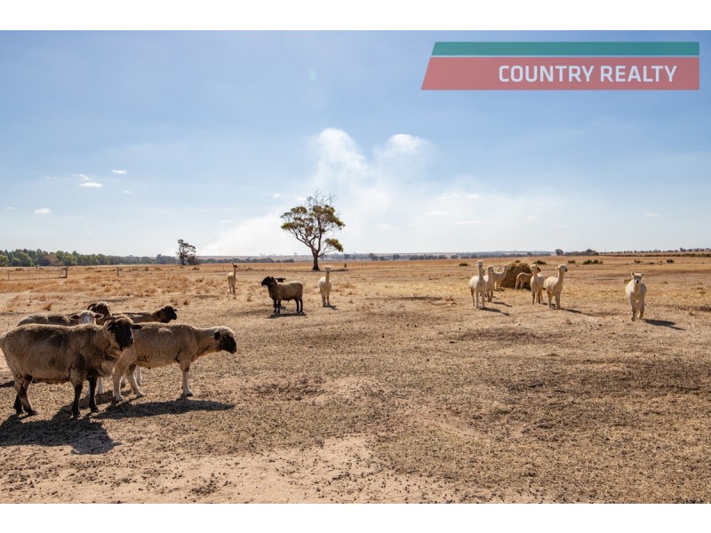 148 Rifle Range Road, Ucarty, Dowerin WA 6461