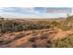 60 Sesselis Road, Toodyay WA 6566