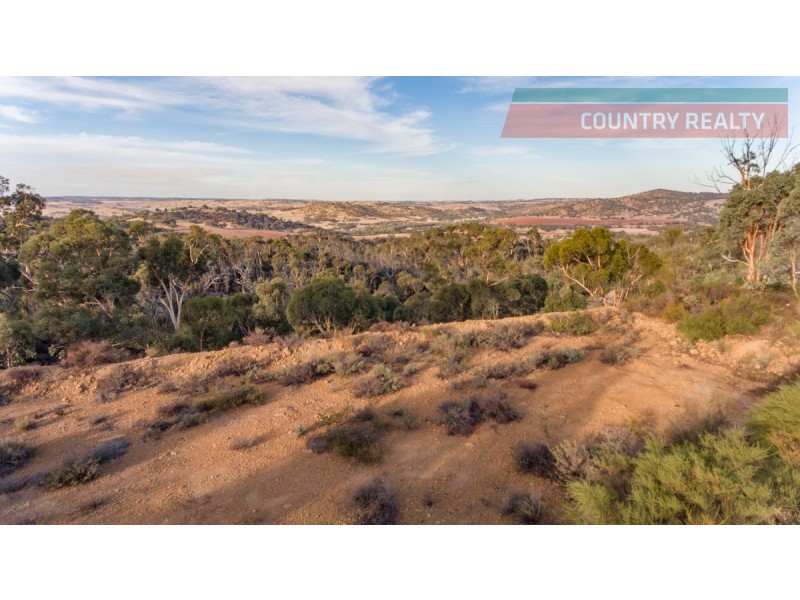 60 Sesselis Road, Toodyay WA 6566