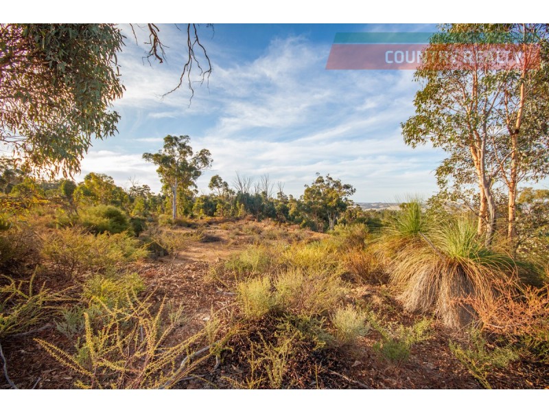 60 Sesselis Road, Toodyay WA 6566