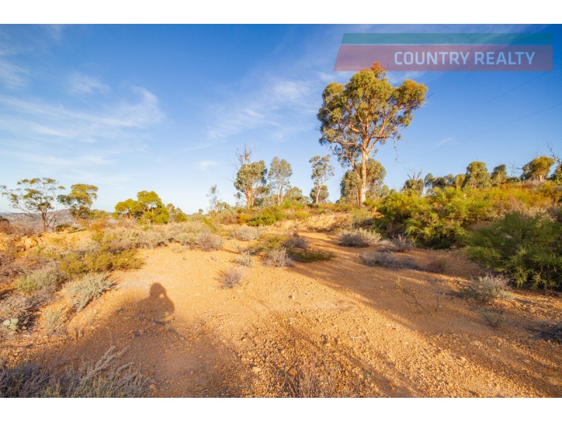 60 Sesselis Road, Toodyay WA 6566