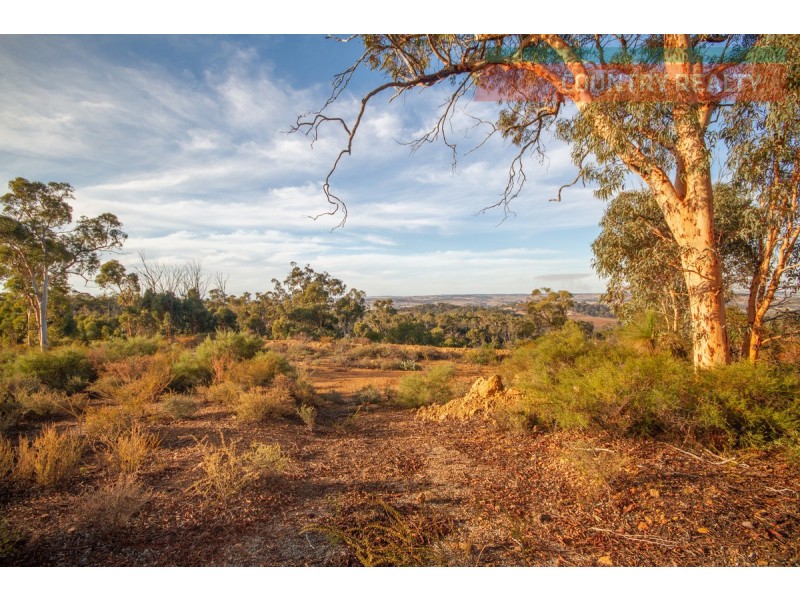 60 Sesselis Road, Toodyay WA 6566