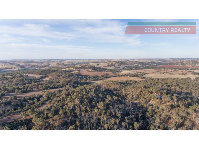 60 Sesselis Road, Toodyay WA 6566