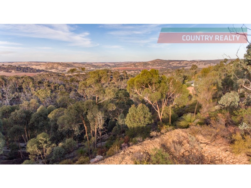 60 Sesselis Road, Toodyay WA 6566