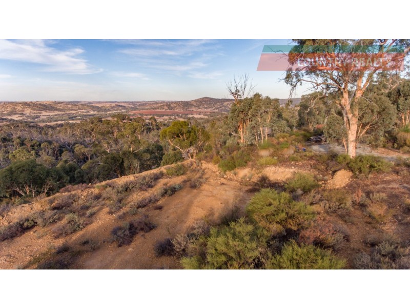 60 Sesselis Road, Toodyay WA 6566