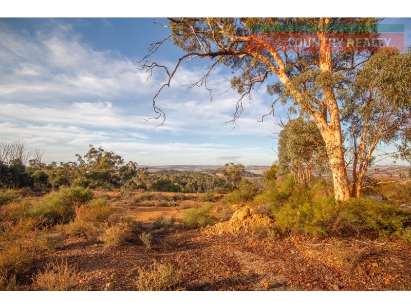 60 Sesselis Road, Toodyay WA 6566