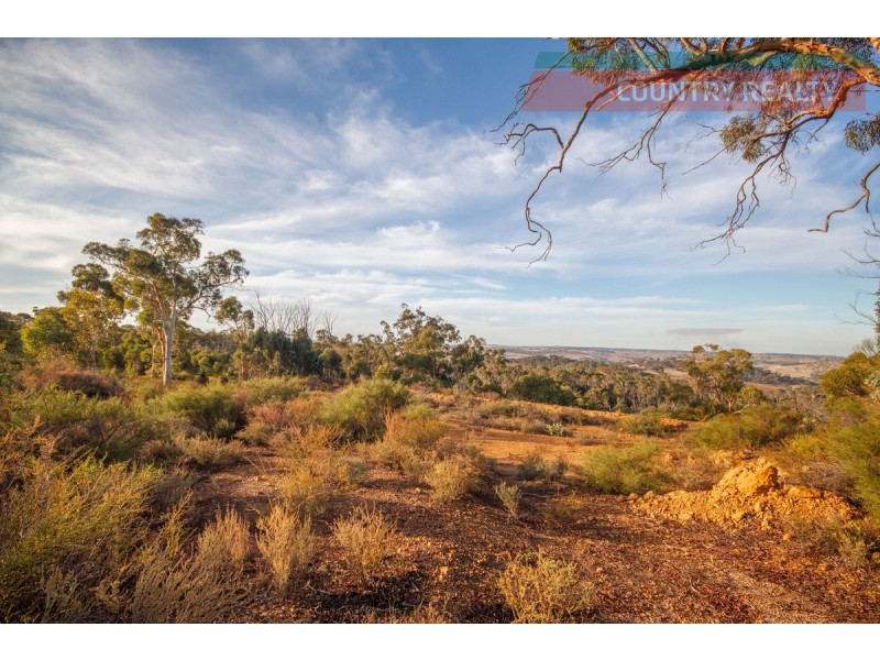 60 Sesselis Road, Toodyay WA 6566