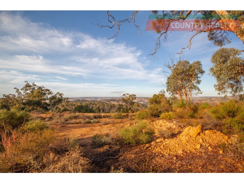 60 Sesselis Road, Toodyay WA 6566