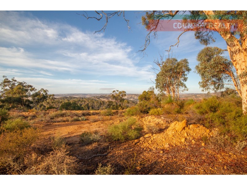 60 Sesselis Road, Toodyay WA 6566